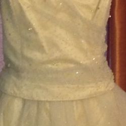 Quinceañera Dresses Brand New Size 16