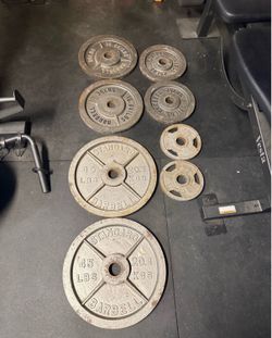 45s 35s 25s 10s Olympic weights