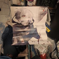 Tokyo Ghoul Sui Ishida Rare Poster Damaged 2011
