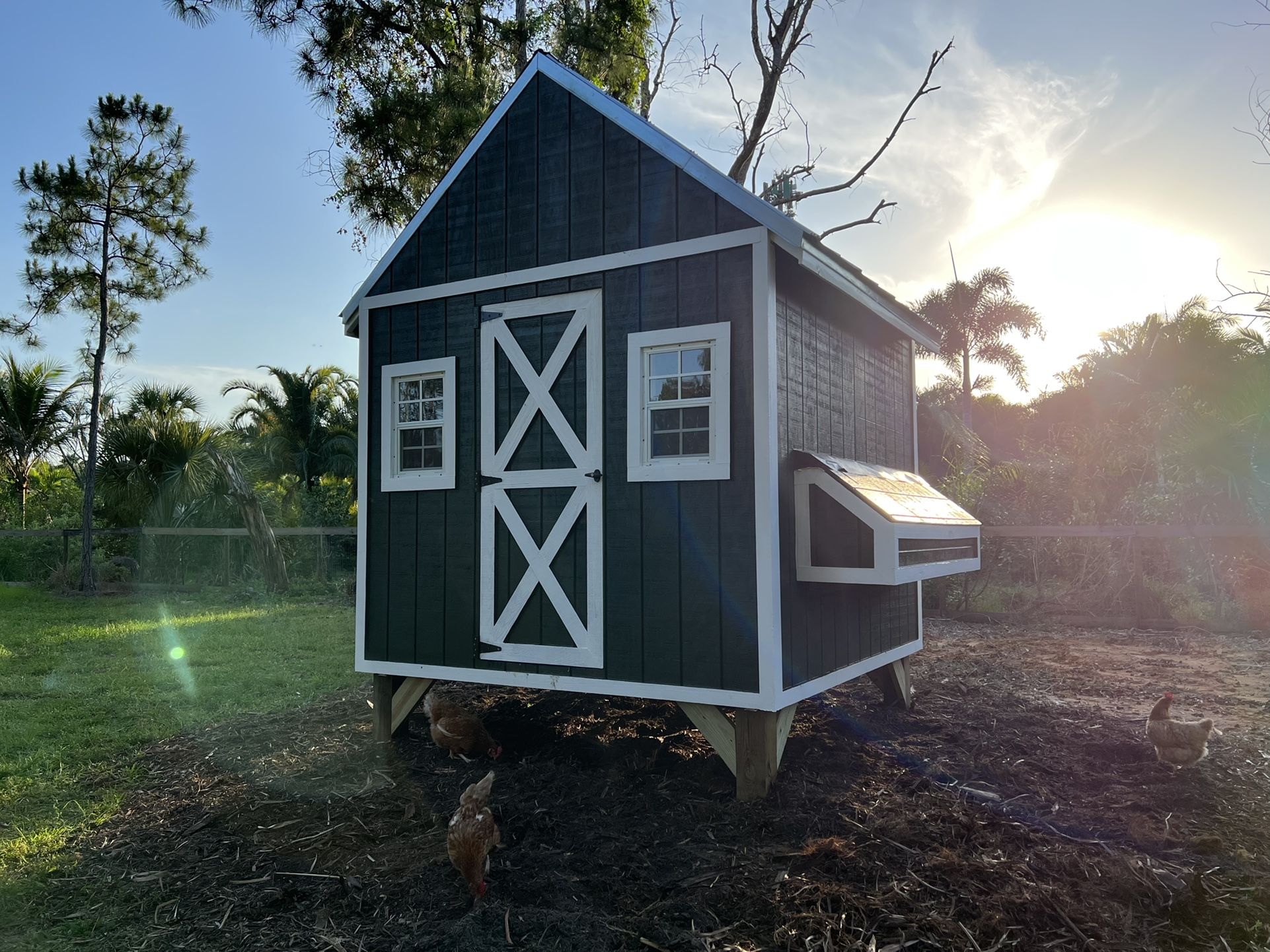 Custom Chicken Coop / Shed / Treehouse