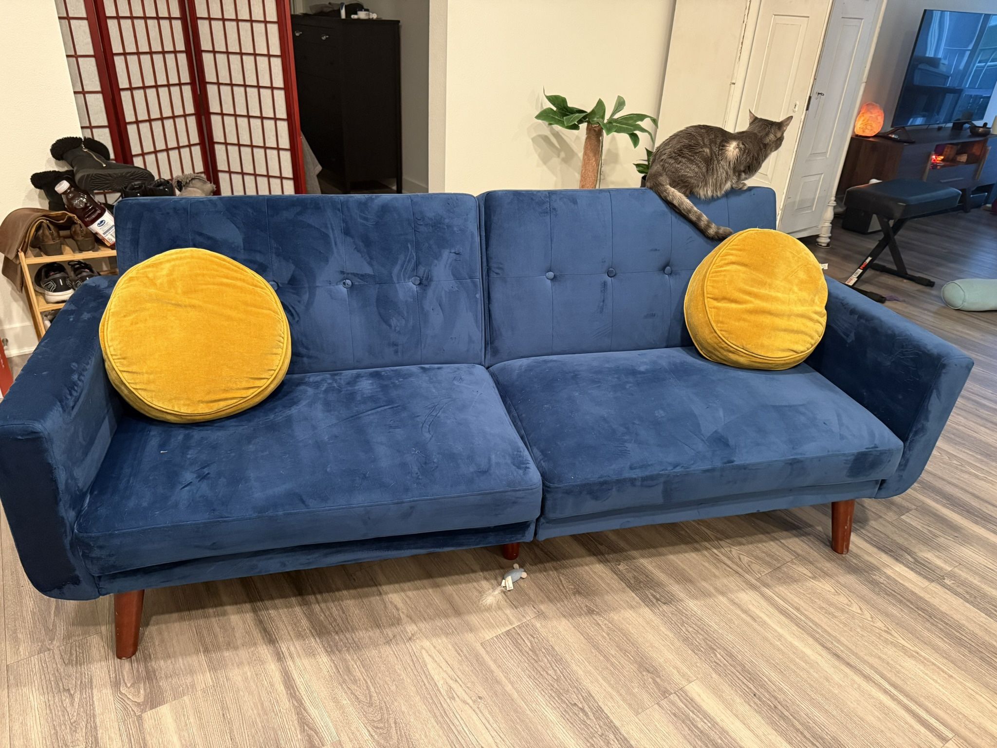 Blue Velvet sofa