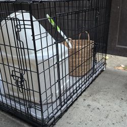 L Dog Kennel With Supplies