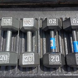 20 lb Weights Your Choice