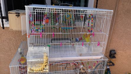 Jaulas para pájaros nuevas y usadas