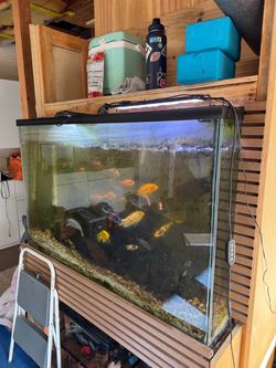 Free 110 gallon tank / FX6 filter