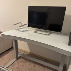 Standing Costco Desk 