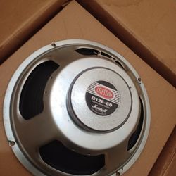 Guitar Amp Speaker For Sale