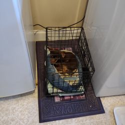 Small Dog Crate ( Not The Dog)