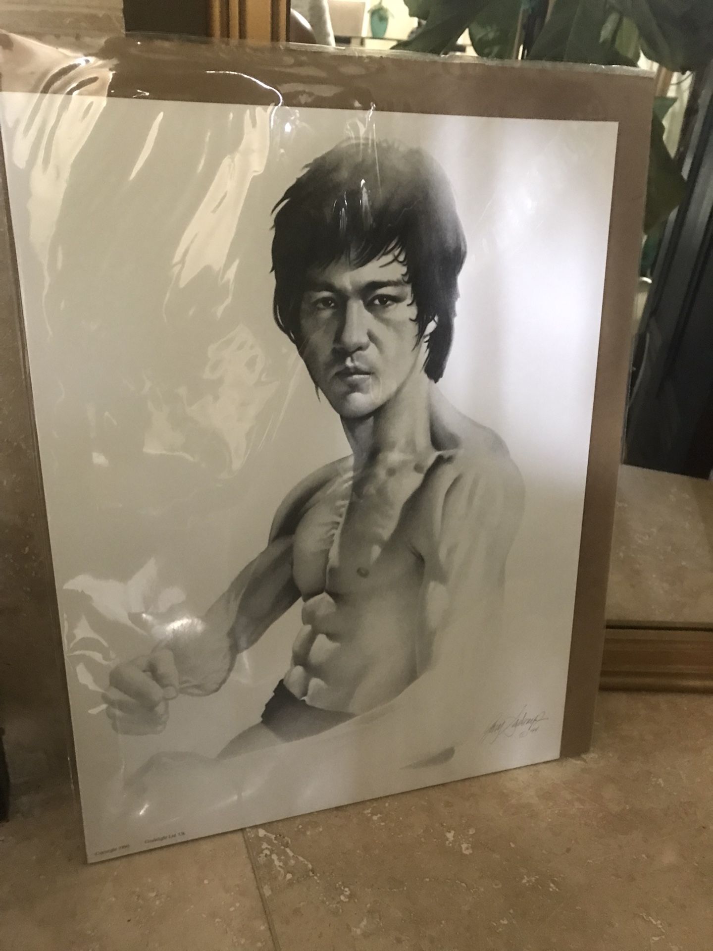 Bruce Lee Art