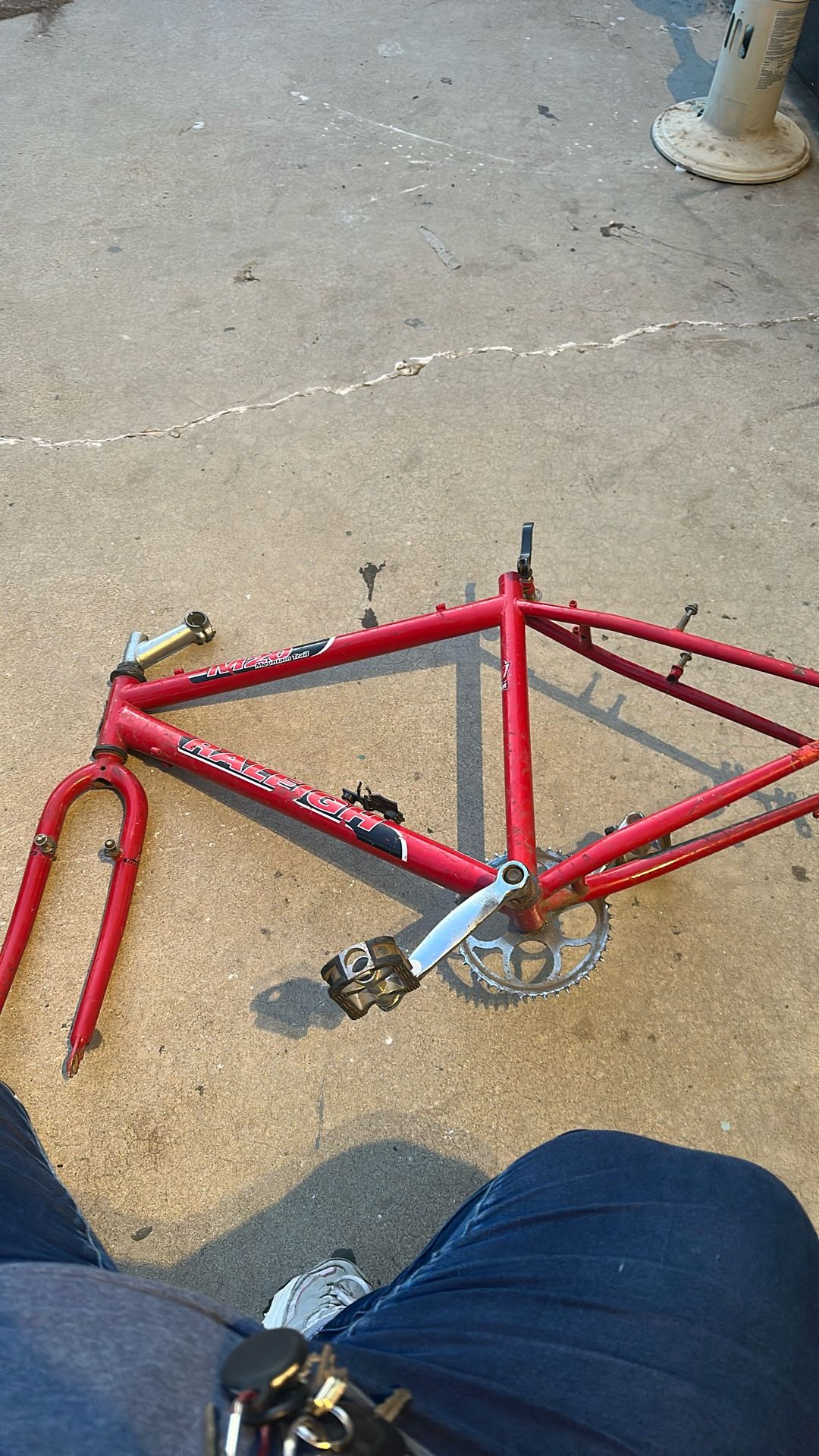 Raleigh M20 Mountain Trail Frame