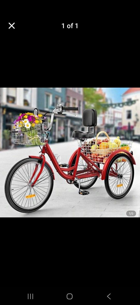 Adult Tricycle