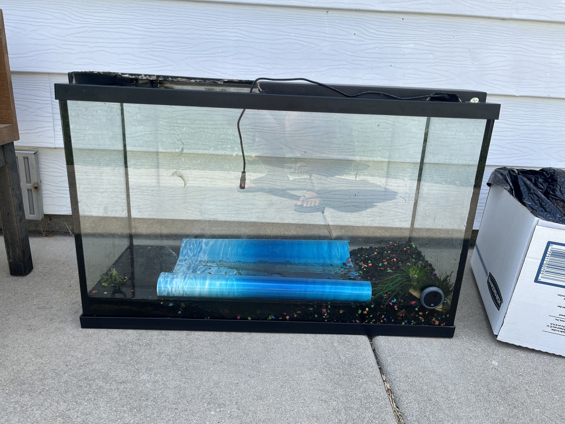 Free fish Tank
