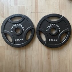 25 LB Olympic Barbell Plates - Pair
