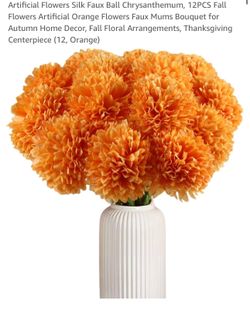 Crysanthemum flowers