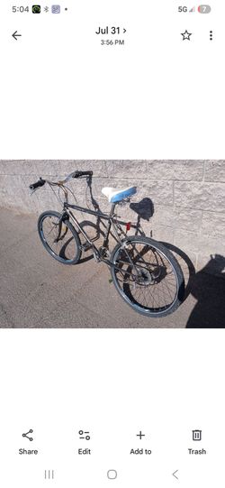 Sierra Schwinn $19