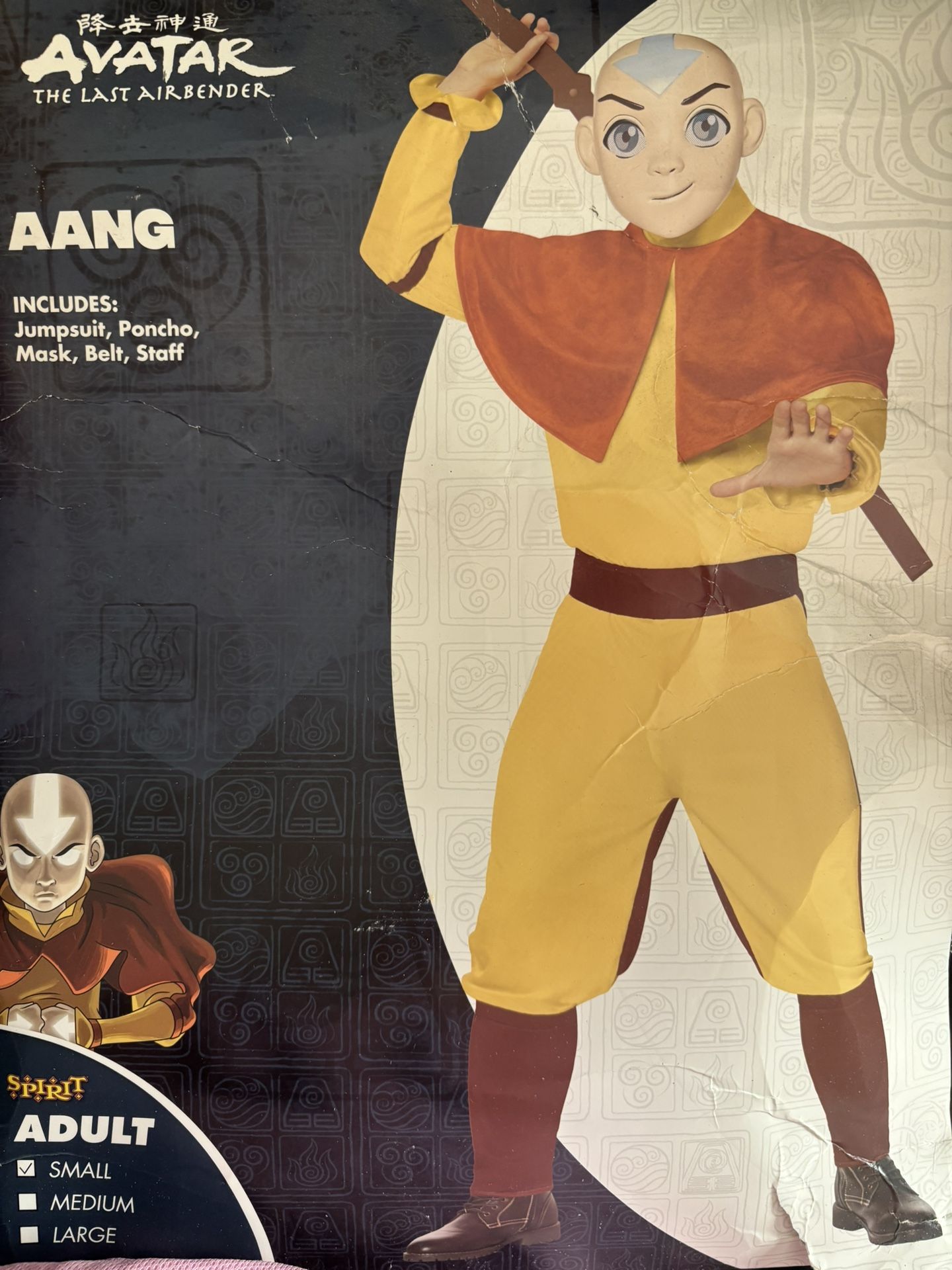 Halloween Costume - Aang 