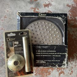 Danze Shower Rain Head 