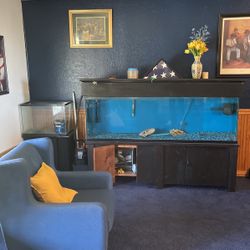 110  Gallon Aquarium With Stand  and Floval 407 Filter and Pump