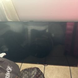 30 Inch Roku Tv