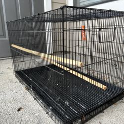 Bird cage 