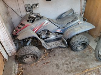 Yamaha raptor 50