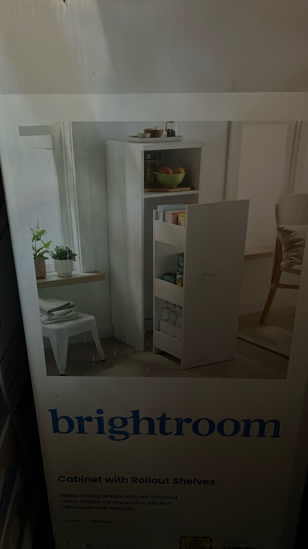 Cabinet With Rollout Shelves