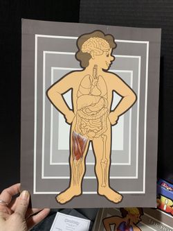 Vintage 1989 SomeBody Human Anatomy Board Game