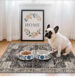 Washable 2x3 Entryway Rug - Small Rug for Bathroom/Kitchen/Front Indoor Door Mat - Non Slip Farmhouse Decor - Throw Rugs with Rubber Backing Entrance