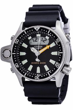 Citizen Dive Watch