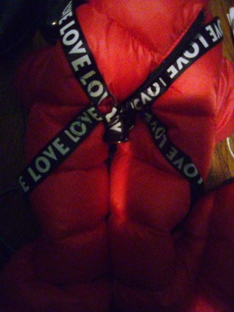 Doggie Jacket (Love You Logo )