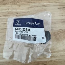 New Genuine Hyundai OEM Shoe Select Lever - Part # 43(contact info removed) 