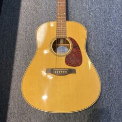 Seagull Maritime SWS Acoustic 
