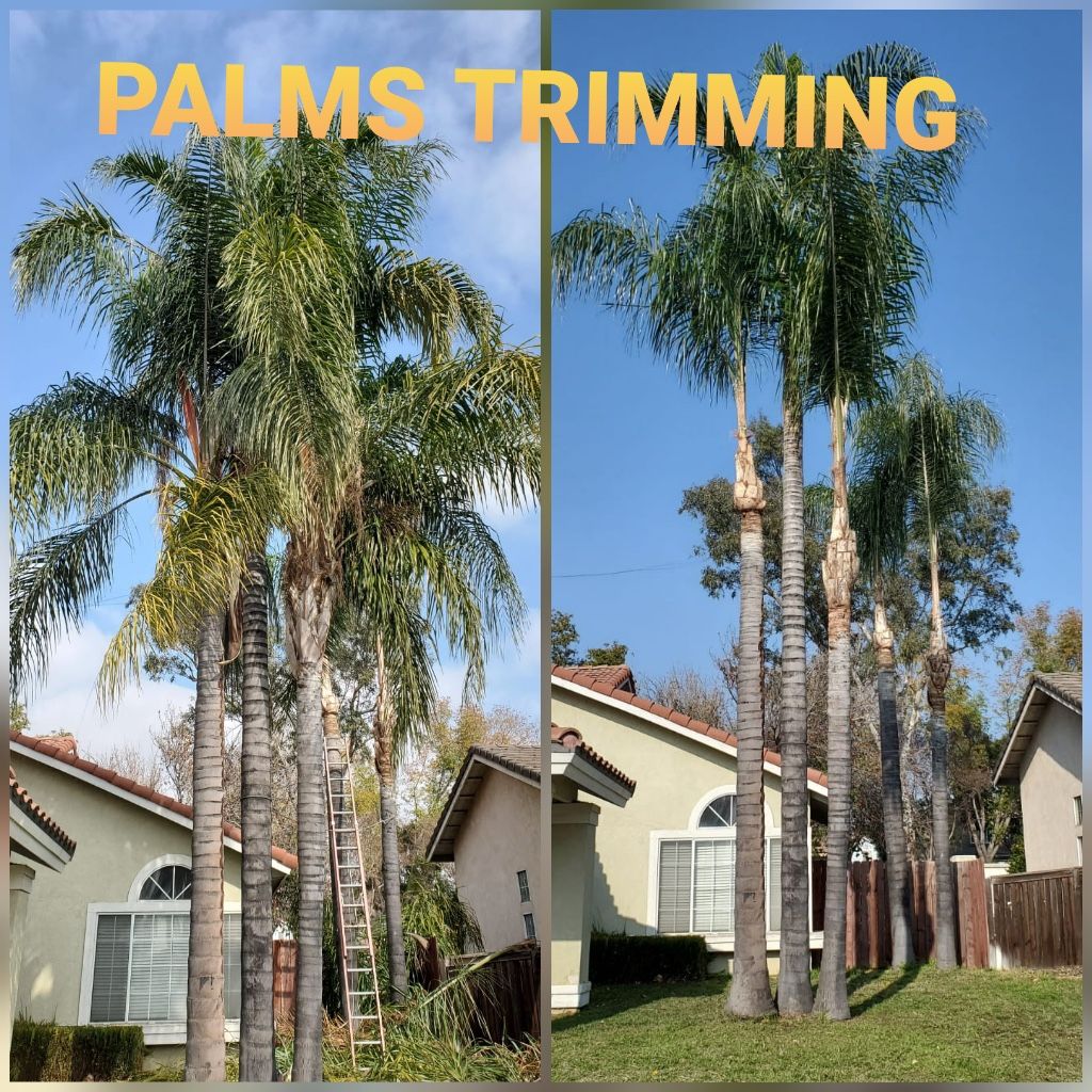 Stump Grinding Messge, Tree Messge