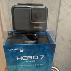 Go Pro 