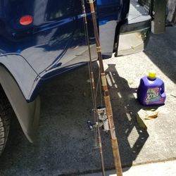 Fishing Pole And Ryobo-sx4n Silver Cloud Reel