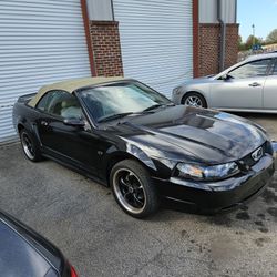 2000 Ford Mustang