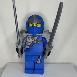 Big Brick Blue Ninja Jay
