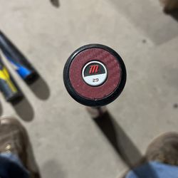 Marucci 