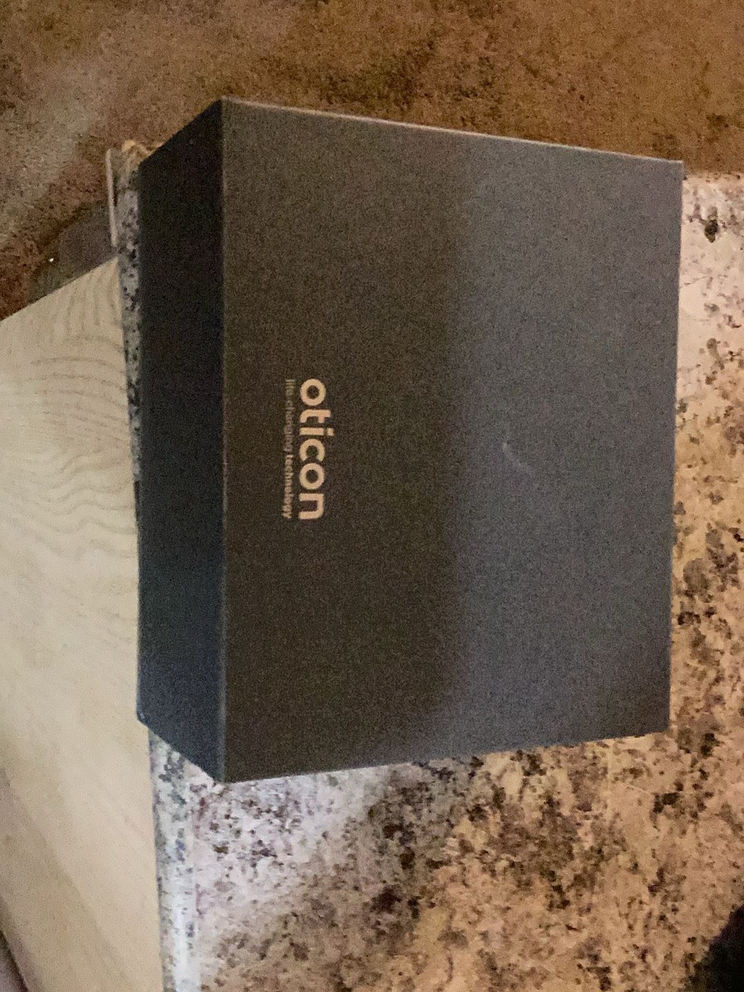 Hearing Aids Silver Color