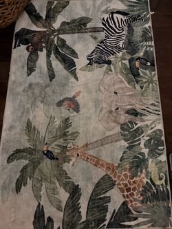 Area/front door rugs