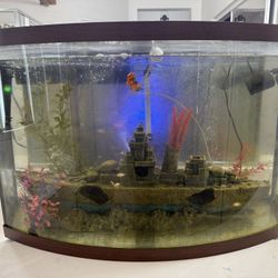 Fish Tank And More 