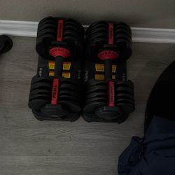 Adjustable Dumbbells 