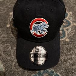 Chicago Cubs Adjustable Hat with Illinois Flah on side and underneath. 