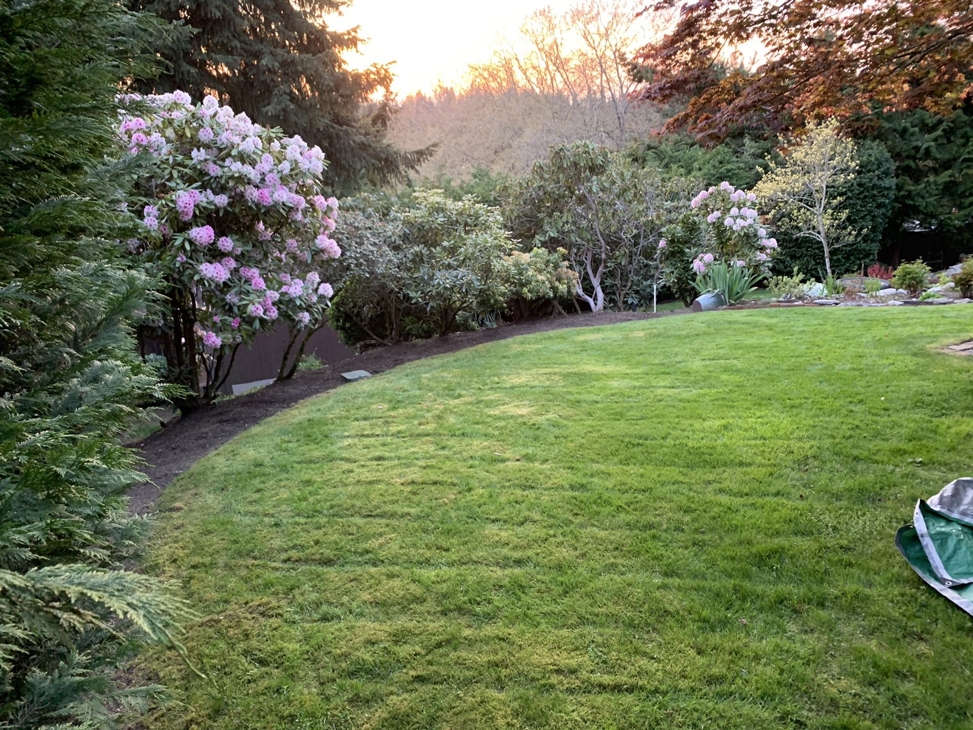 Fresh Cut Lawns