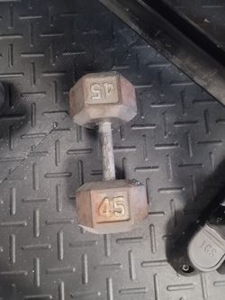 45lb Dumbbell