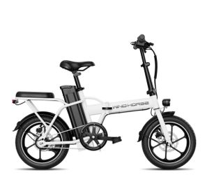 Windhorse foldable e-bike