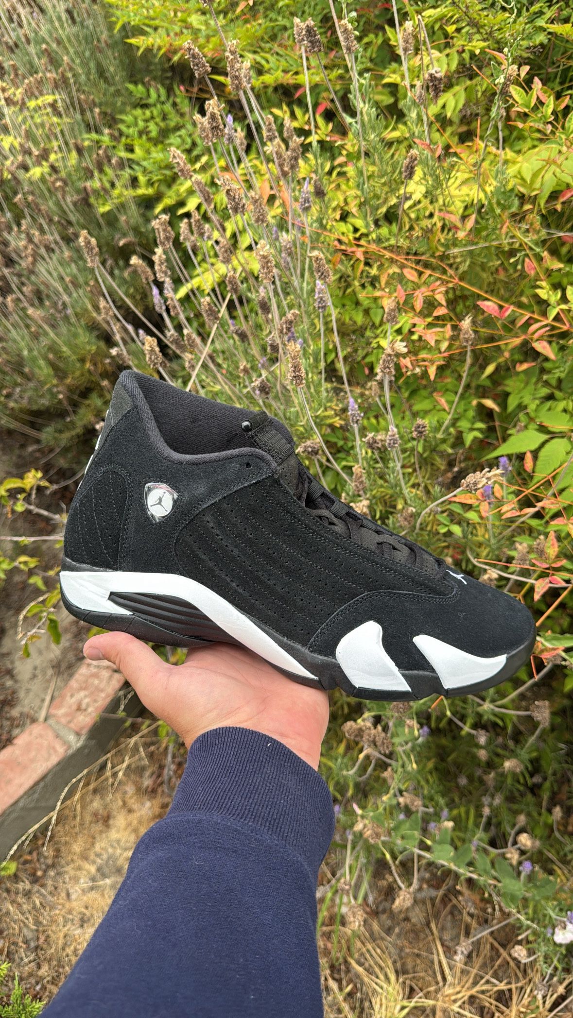 Jordan 14 Black N White Size 12 Brand New