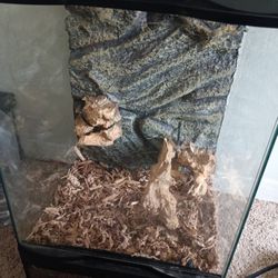 Reptile Bio Tank