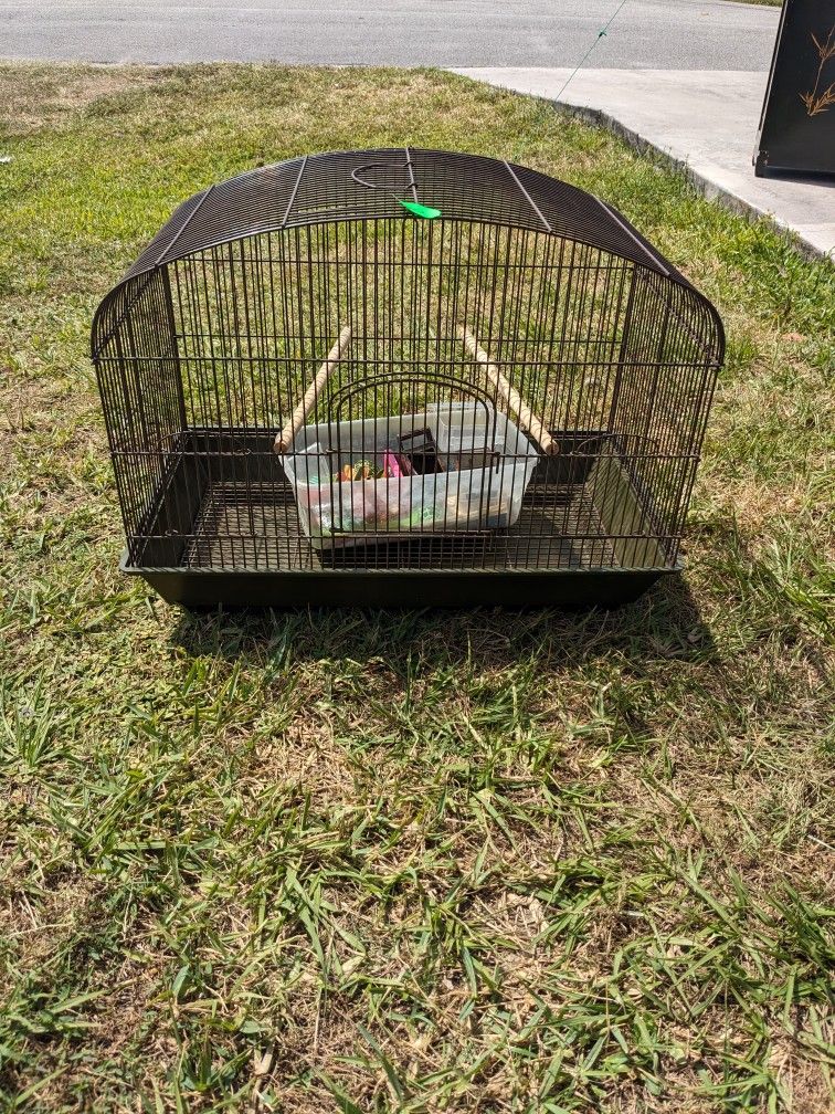 Bird cage 