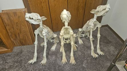 Halloween Trio of howling wolves dogs motion